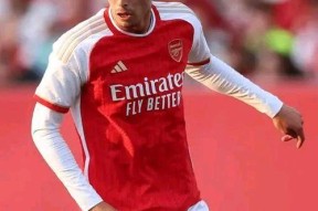 开云体育-包含Ming迎来十五赛季高光表现，阿森纳球迷沸腾！的词条